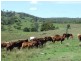 1225 Pierce Creek Road, Crows Nest QLD 4355