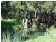 1225 Pierce Creek Road, Crows Nest QLD 4355