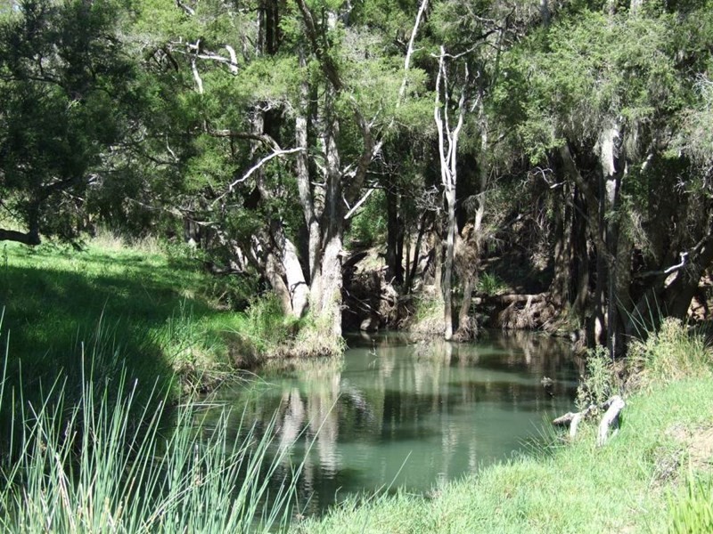 1225 Pierce Creek Road, Crows Nest QLD 4355