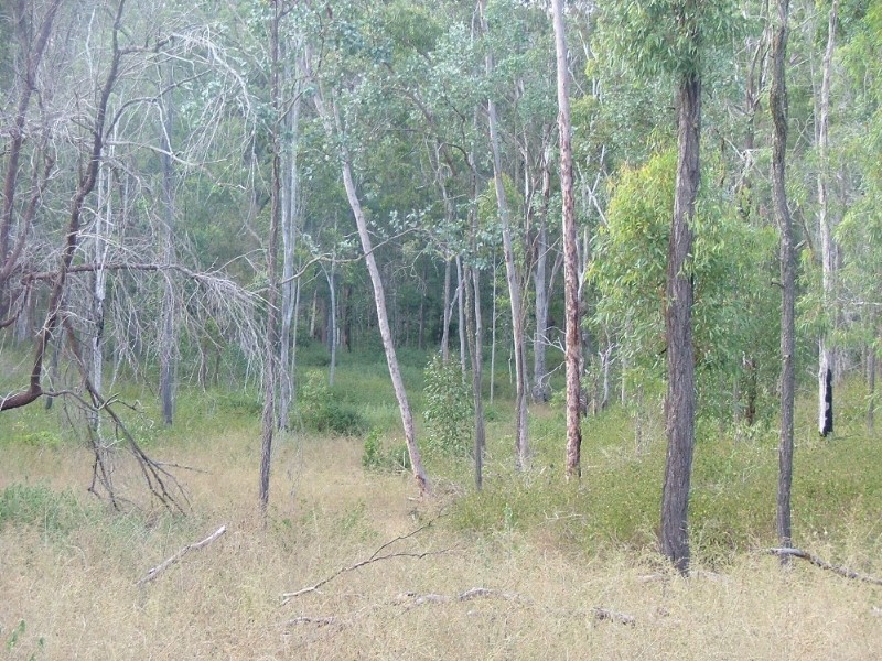 Lot 120 Stock Route Road, Crows Nest QLD 4355