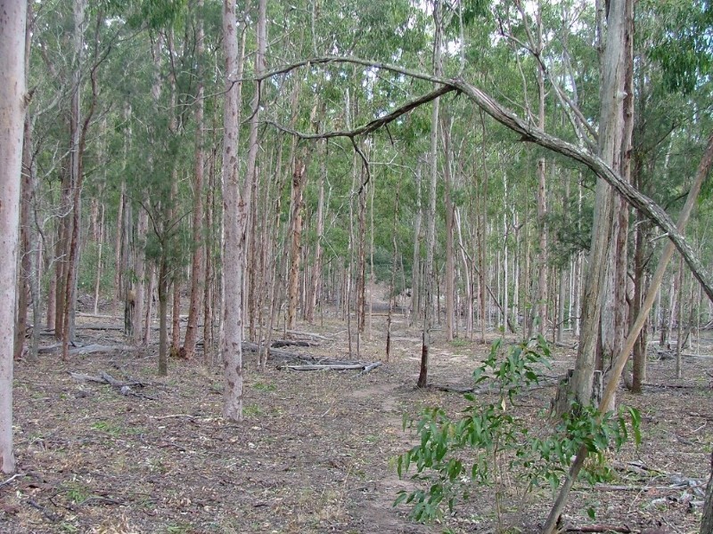 Lot 120 Stock Route Road, Crows Nest QLD 4355