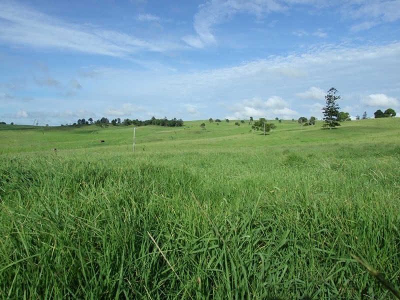 471 Upper Pinelands Road, Crows Nest QLD 4355