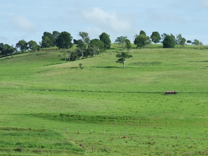 471 Upper Pinelands Road, Crows Nest QLD 4355