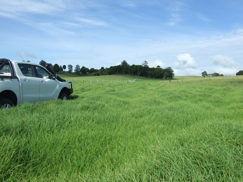 471 Upper Pinelands Road, Crows Nest QLD 4355