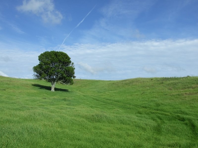 471 Upper Pinelands Road, Crows Nest QLD 4355