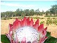 L203 Anduramba Road, Crows Nest QLD 4355