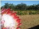 L203 Anduramba Road, Crows Nest QLD 4355