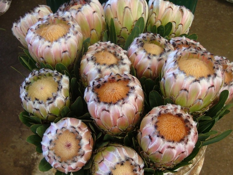 L203 Anduramba Road, Crows Nest QLD 4355