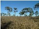 L320 Coalbank Boundary Road, Crows Nest QLD 4355
