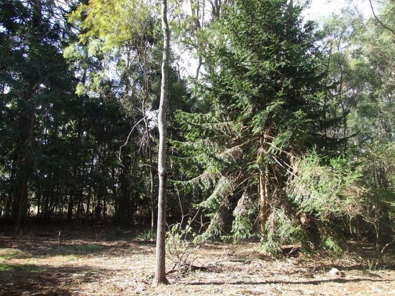 9925 New England Highway, Cabarlah QLD 4352