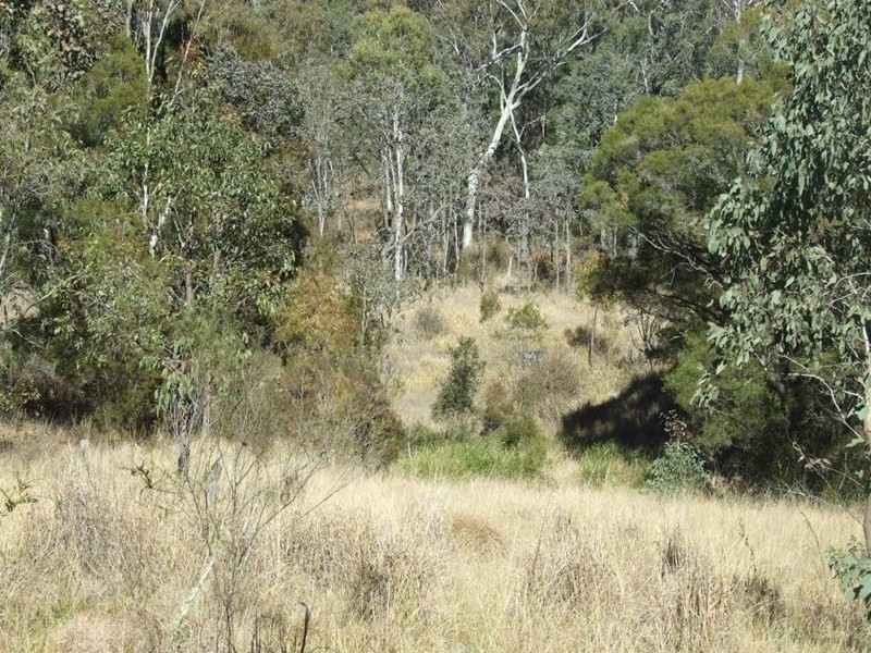 1446 Pierce Creek Road, Crows Nest QLD 4355