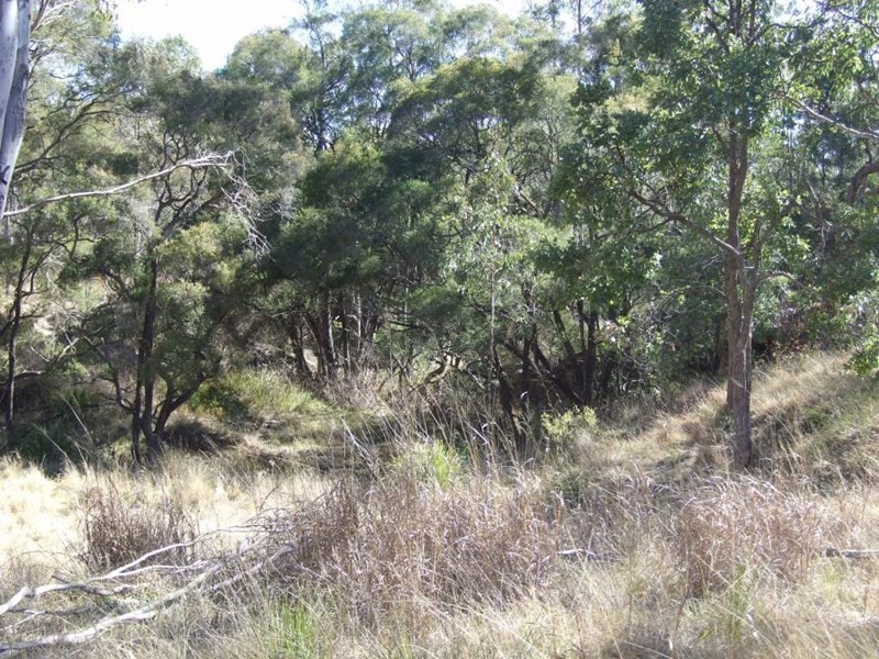 1446 Pierce Creek Road, Crows Nest QLD 4355