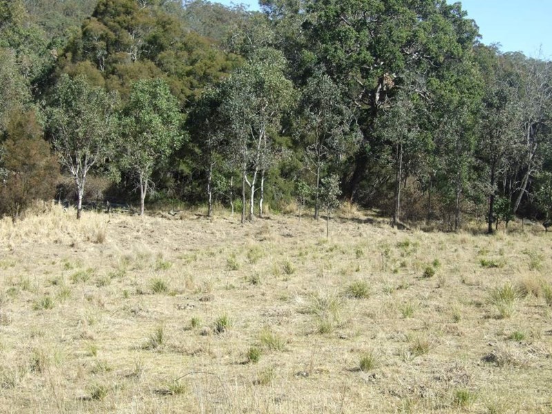 1446 Pierce Creek Road, Crows Nest QLD 4355