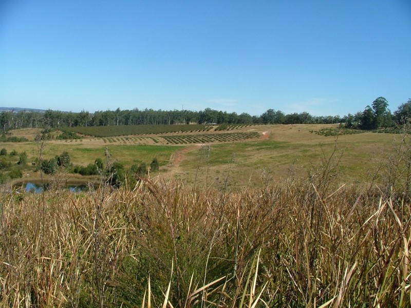 L206 Anduramba Road, Crows Nest QLD 4355