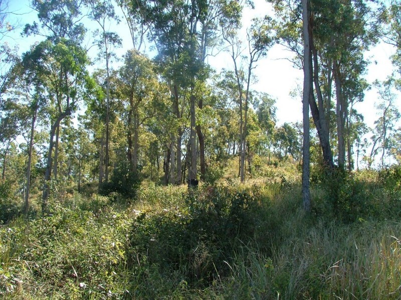 L206 Anduramba Road, Crows Nest QLD 4355