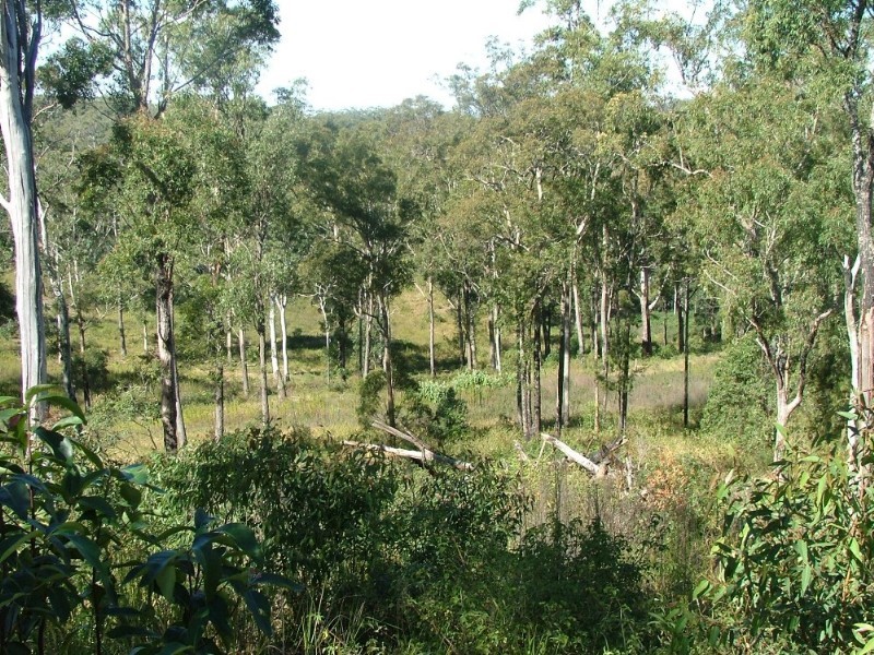 L206 Anduramba Road, Crows Nest QLD 4355