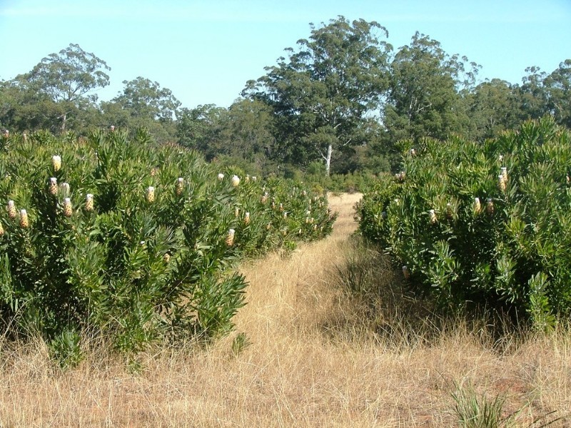 L203 Anduramba Road, Crows Nest QLD 4355