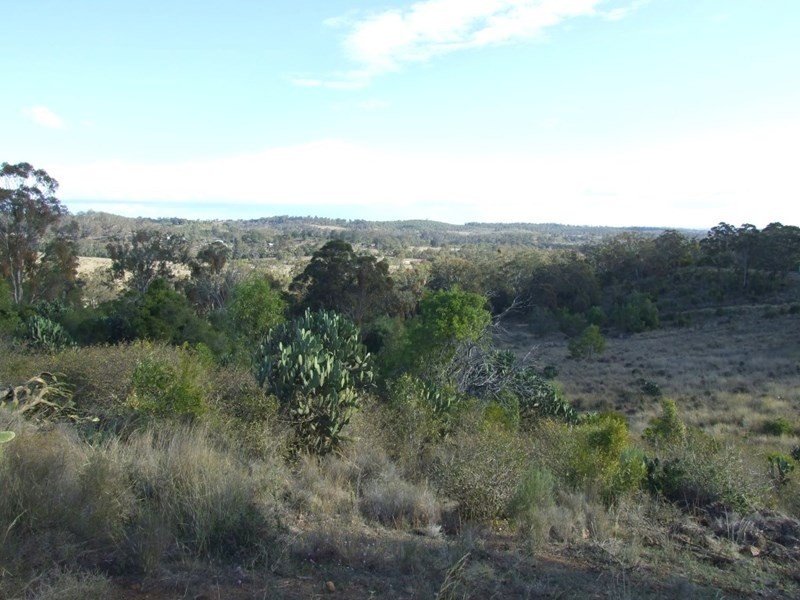 944 Pechey-Maclagan, Crows Nest QLD 4355