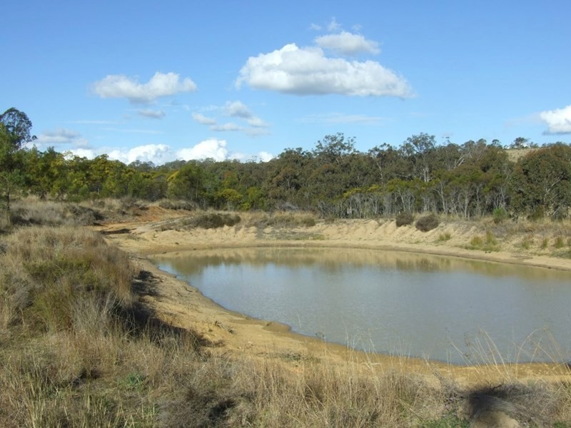 944 Pechey-Maclagan, Crows Nest QLD 4355