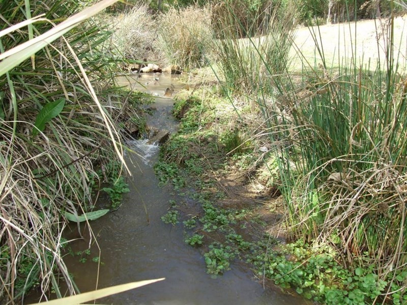 724 Merritts Creek Road, Hampton QLD 4352