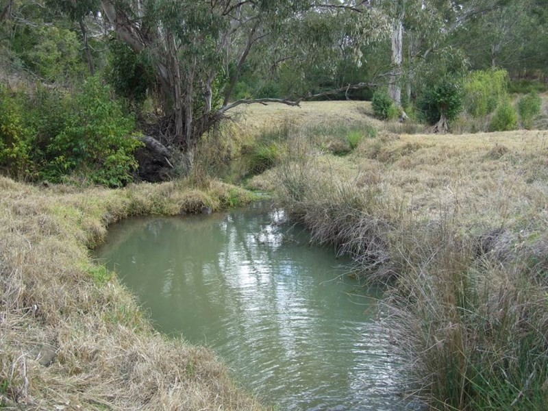 724 Merritts Creek Road, Hampton QLD 4352