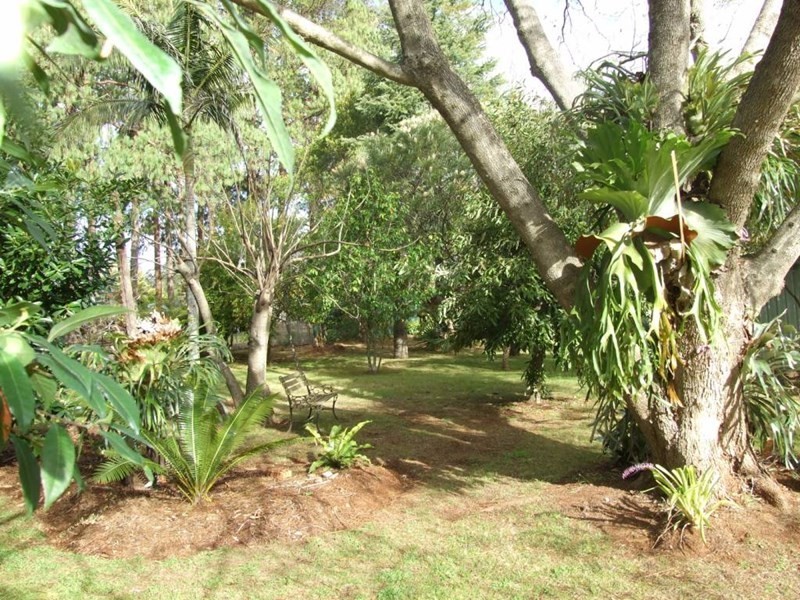 10 Hampton Road, Hampton QLD 4352