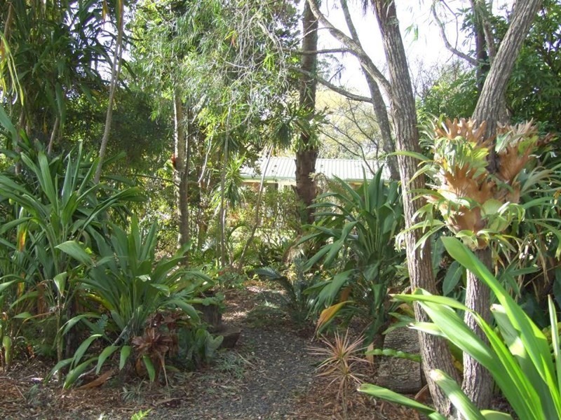 10 Hampton Road, Hampton QLD 4352