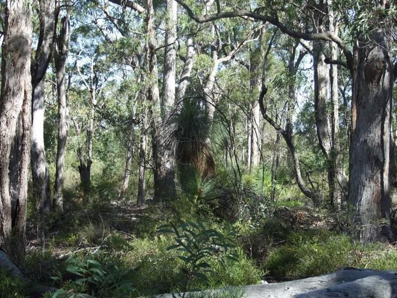 159 Voll Road, Crows Nest QLD 4355