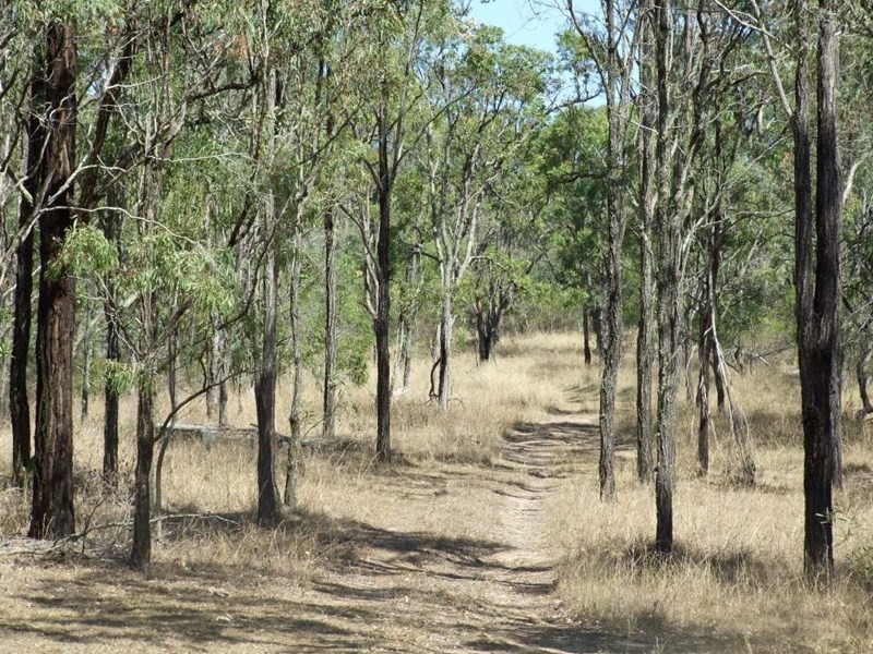 137 Cooyar-Rangemore Road, Cooyar QLD 4402