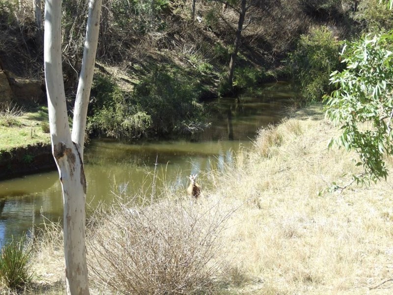 137 Cooyar-Rangemore Road, Cooyar QLD 4402