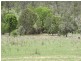 Lot 346 Pierce Creek Road, Crows Nest QLD 4355