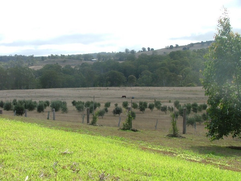 724 Merritts Creek Road, Hampton QLD 4352