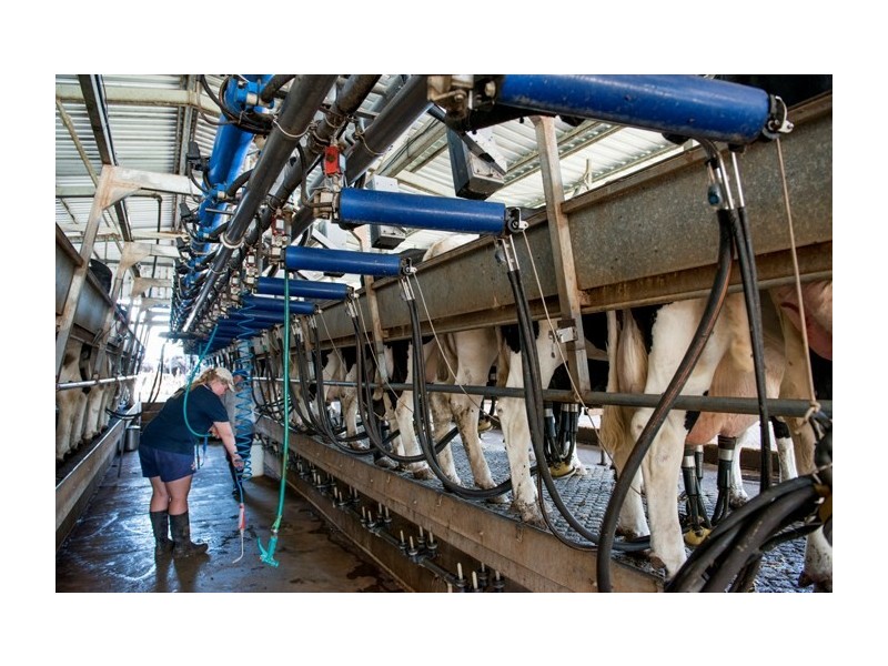 140 Kirstenfeldts Road, Rosalie Plains QLD 4401