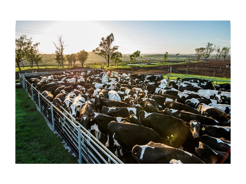 140 Kirstenfeldts Road, Rosalie Plains QLD 4401