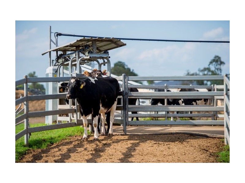 140 Kirstenfeldts Road, Rosalie Plains QLD 4401