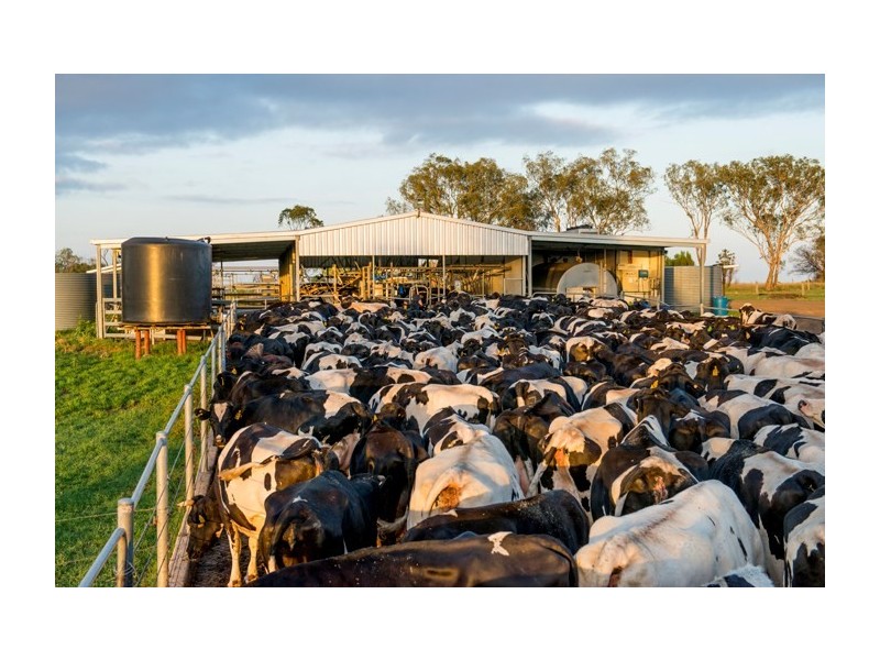 140 Kirstenfeldts Road, Rosalie Plains QLD 4401