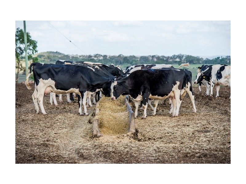 140 Kirstenfeldts Road, Rosalie Plains QLD 4401