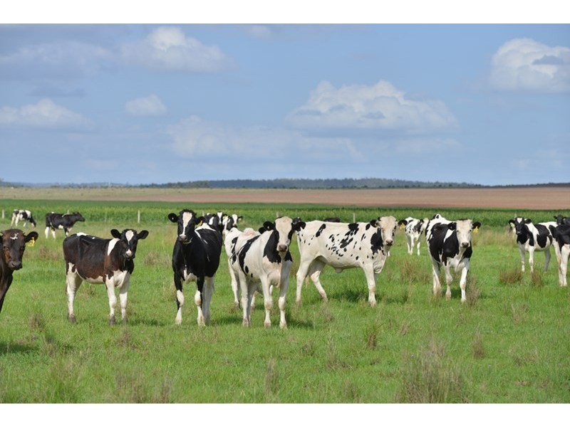 140 Kirstenfeldts Road, Rosalie Plains QLD 4401