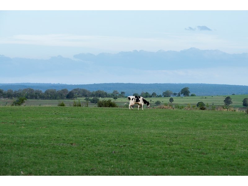 140 Kirstenfeldts Road, Rosalie Plains QLD 4401