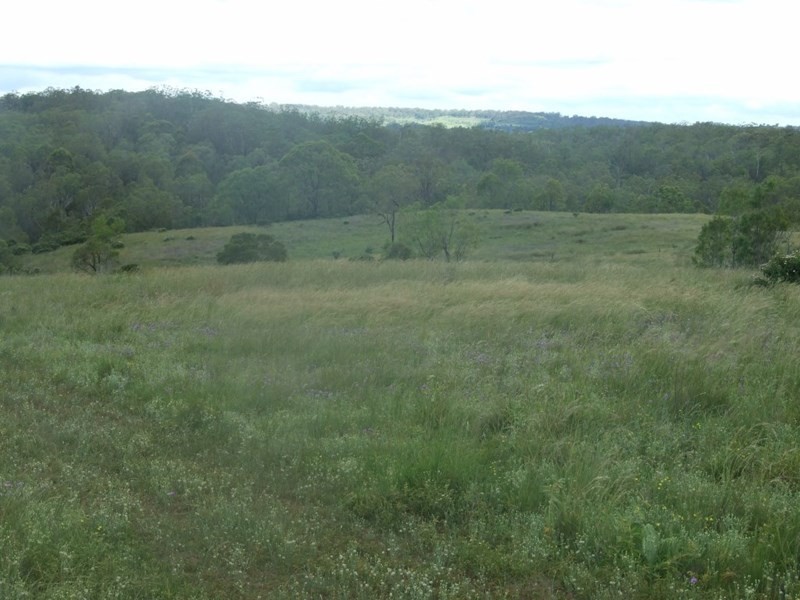 L169 Hill Road, Groomsville QLD 4352