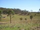 Crows Nest QLD 4355