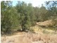 Crows Nest QLD 4355