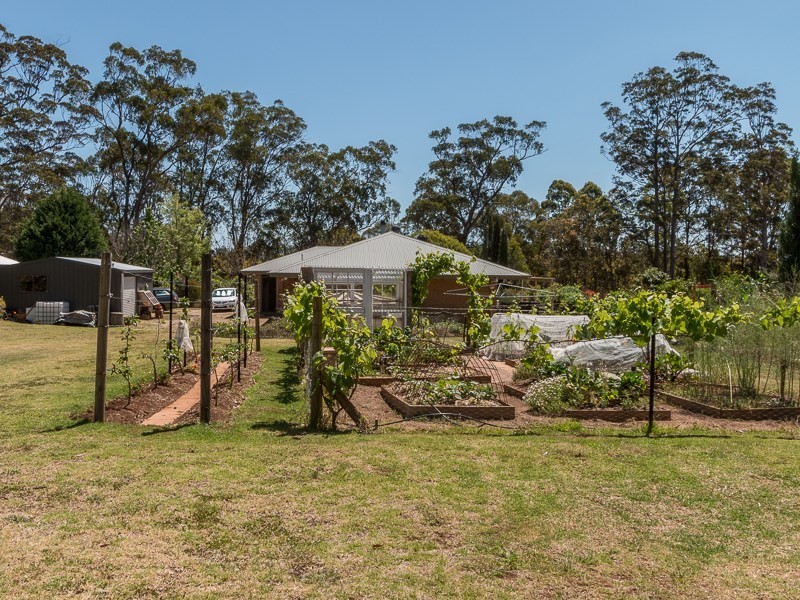 Lot 8 Davidson Lane, Hampton QLD 4352