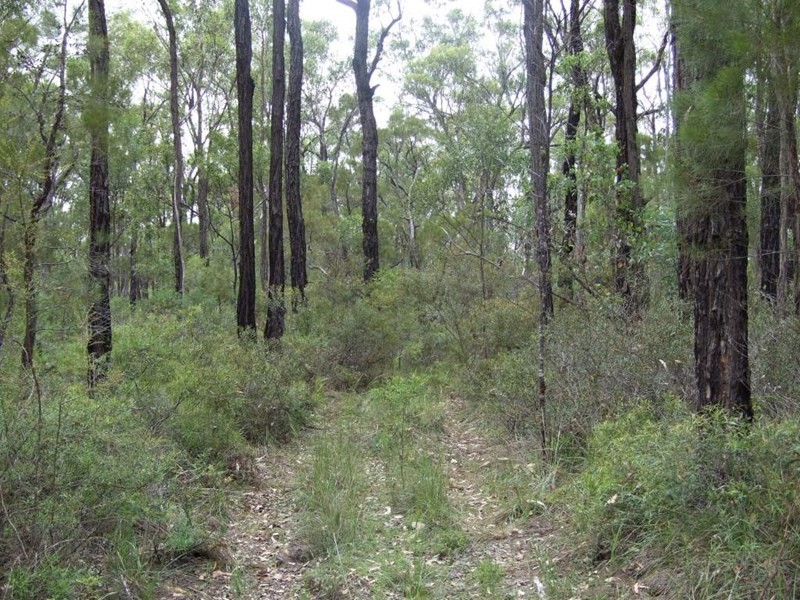 6065 New England Highway, Crows Nest QLD 4355