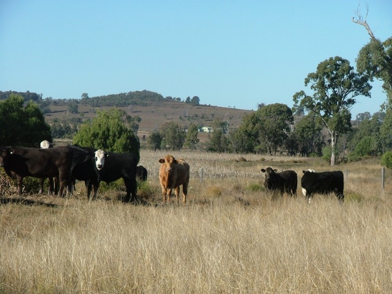 0 Jensen Road, Crows Nest QLD 4355