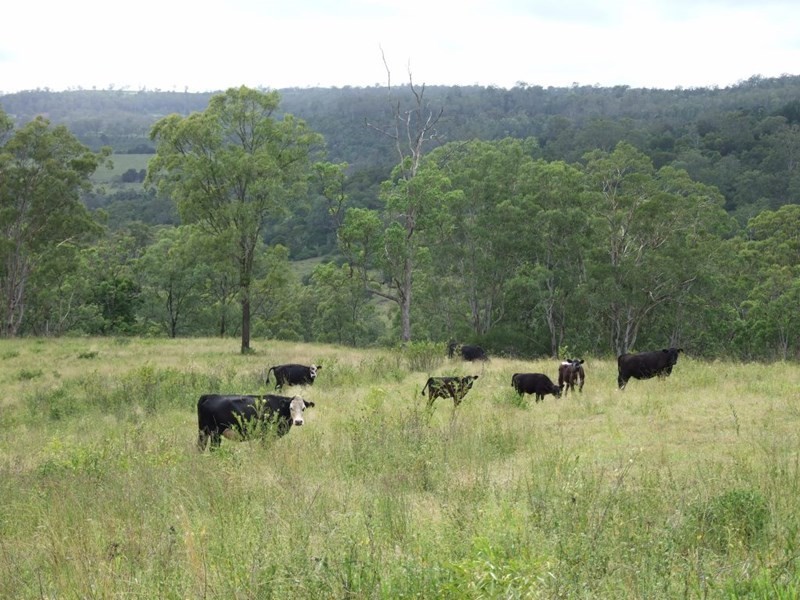 L400 Schick Road, Thornville QLD 4352