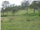 L400 Schick Road, Thornville QLD 4352