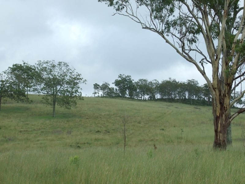 L400 Schick Road, Thornville QLD 4352