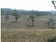 0 Jensen Road, Oakey QLD 4401