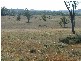 0 Jensen Road, Oakey QLD 4401